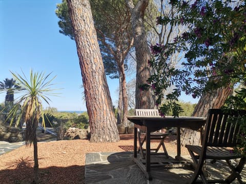 Patio, Natural landscape, Dining area