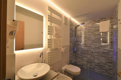 Shower, Toilet, Bathroom, bidet, hair dryier