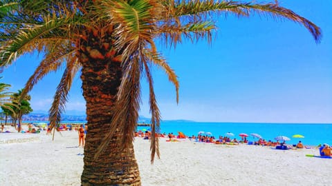 Natural landscape, Beach, Beach, City view, Sea view