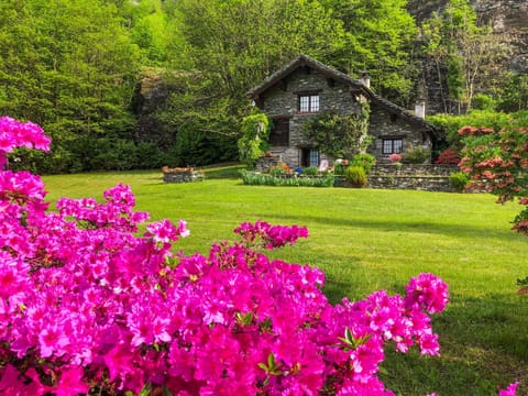 Property building, Garden