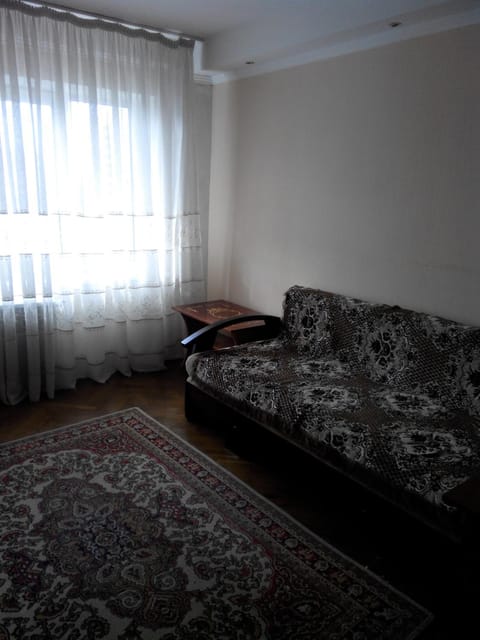 Comfortable flat near the Dnieper river in Kyiv Condo in Kiev City - Kyiv