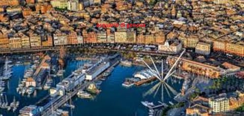 apartment genova central Apartment in Genoa