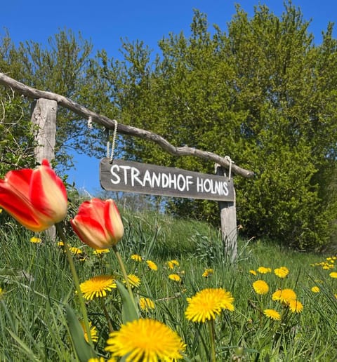 Strandhof Holnis Country House in Glücksburg