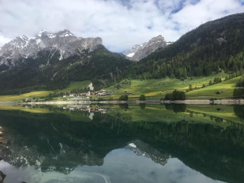 Neighbourhood, Natural landscape