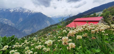 Mountain Rover Auli Resort Resort in Uttarakhand