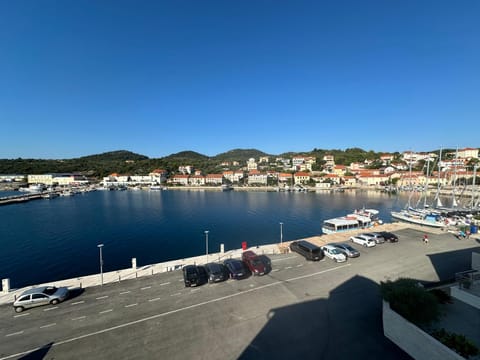 Apartmani Sali Seaview Apartment in Zadar County