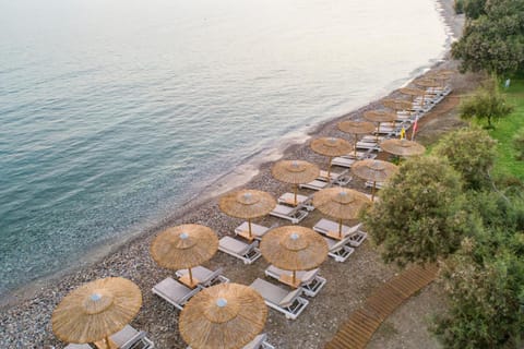 Bird's eye view, Beach, Sea view