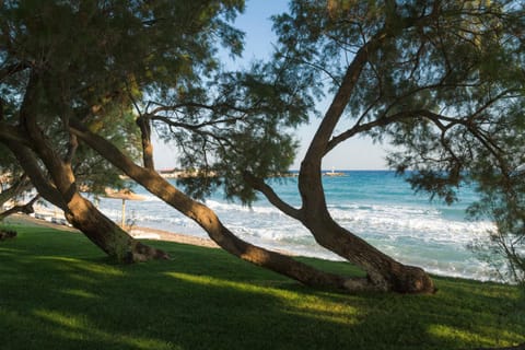 Natural landscape, Beach, Sea view