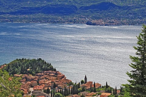 Neighbourhood, Natural landscape, Bird's eye view, Other, City view, Lake view