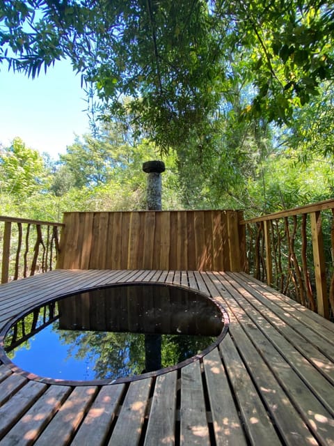 Cabañas Huenehue Nature lodge in Los Ríos, Chile