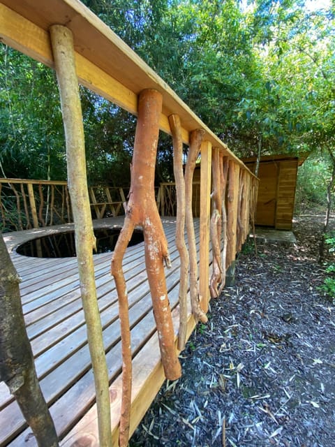 Cabañas Huenehue Nature lodge in Los Ríos, Chile