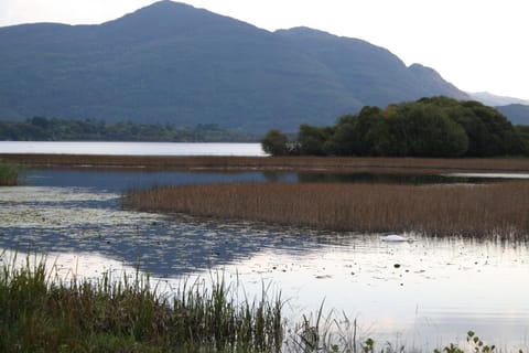 Nearby landmark, Natural landscape