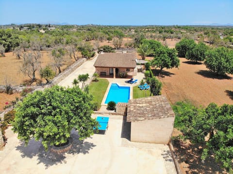 Patio, Garden, Garden view