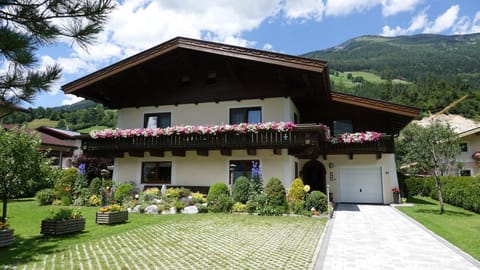 Property building, Summer