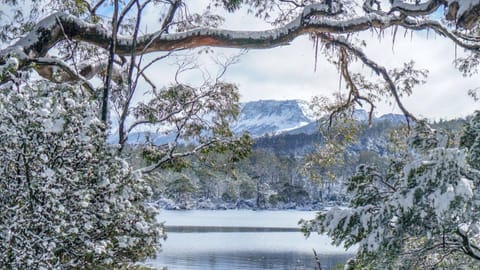 Lake St Clair Lodge Lodge nature in Tasmania