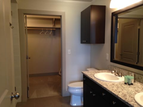 National at Tysons Corner Condo in Tysons