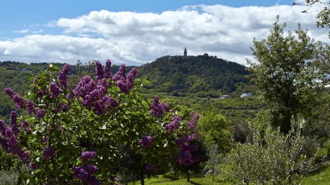 Day, Natural landscape