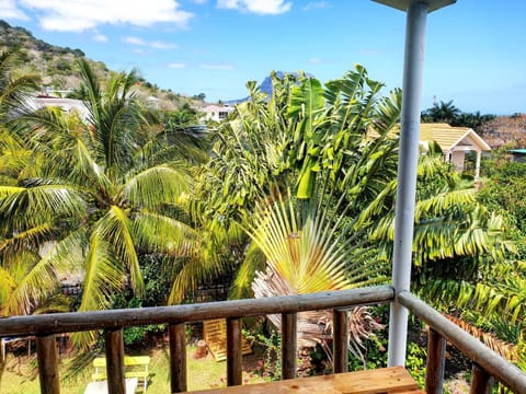 Balcony/Terrace, Garden view, Landmark view