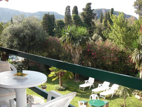Garden view