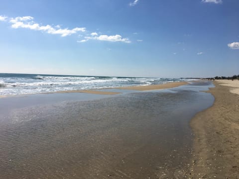 Nearby landmark, Beach, Sea view