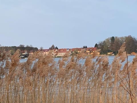 Schwantje Mirow 6a Casa in Mecklenburgische Seenplatte