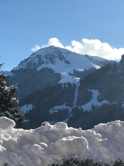 Natural landscape, Winter, Mountain view