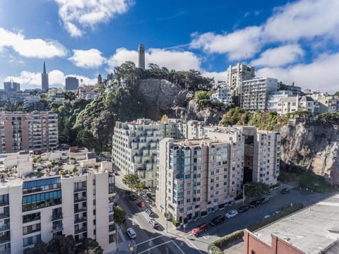 Serene Condo in SF/North Beach/Telegraph Hillside Apartment in San Francisco