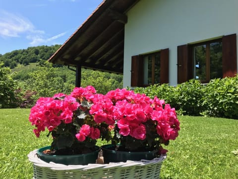 Etxaburu Country House in Basque Country