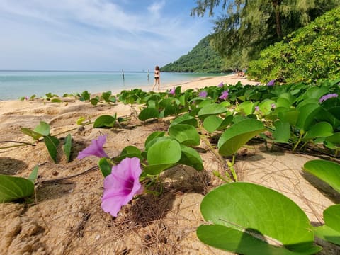 SunBoo Beach Bungalows Resort in Sihanoukville