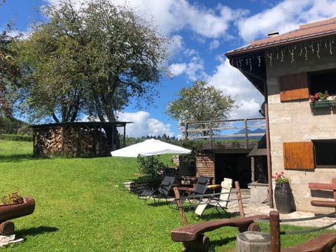 Natural landscape, Garden, Garden, sunbed