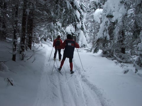 Skiing