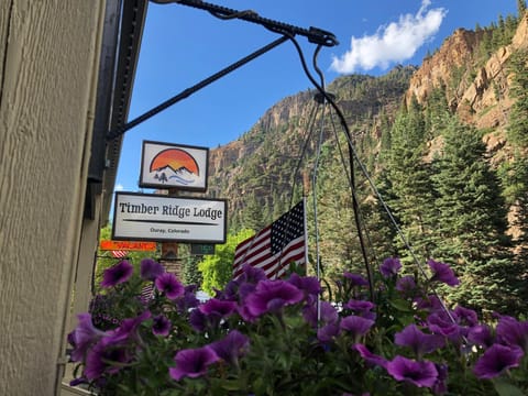 Timber Ridge Lodge Ouray Motel in Ouray