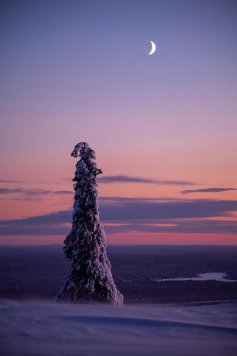 AnriStar Chalet in Lapland