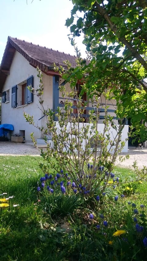 Facade/entrance, Garden