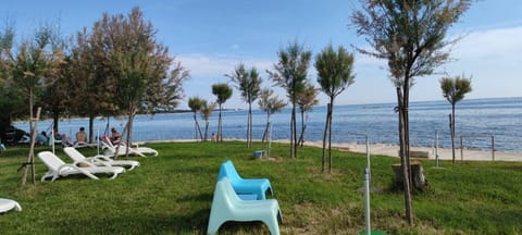 Neighbourhood, Beach