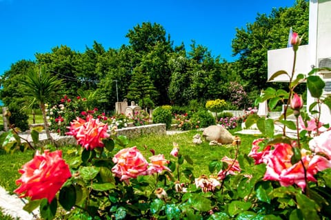 Day, Garden, Garden view