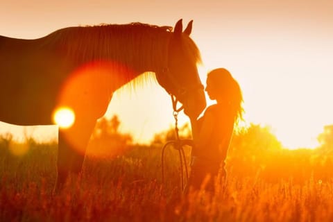 Summer, Horse-riding, Horse-riding