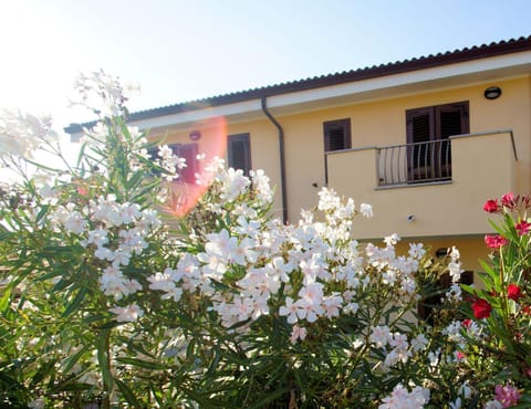 Property building, Garden view