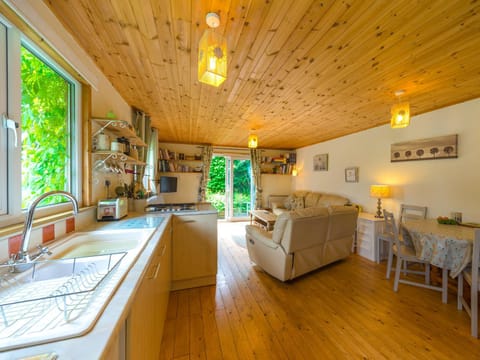 The Log Cabin House in Wales