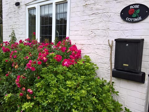 Rose Cottage House in East Devon District