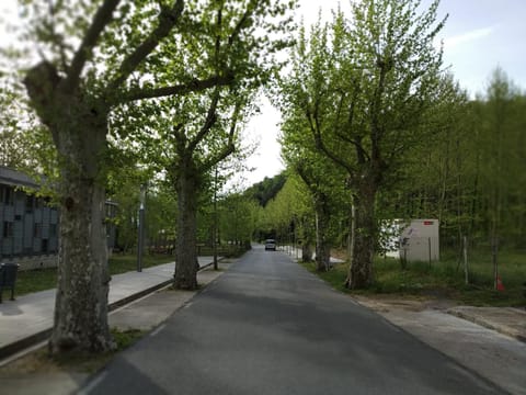 Neighbourhood, Street view