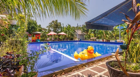 Pool view, Swimming pool