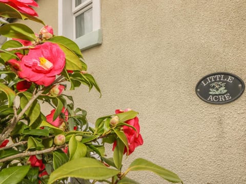 Little Acre House in Torquay