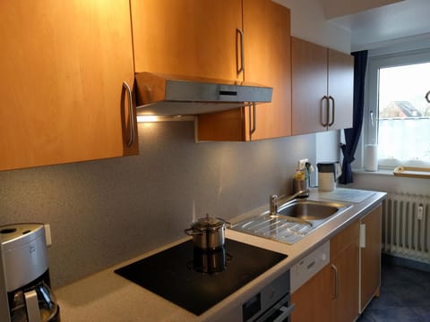 Kitchen or kitchenette, Photo of the whole room, Decorative detail