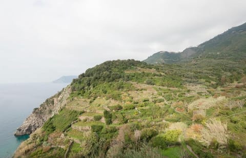 Arbanella Bed and Breakfast in Corniglia