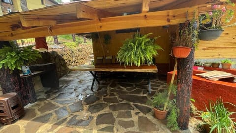 Patio, Day, Garden, Garden view