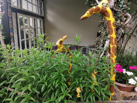 Garden, Balcony/Terrace