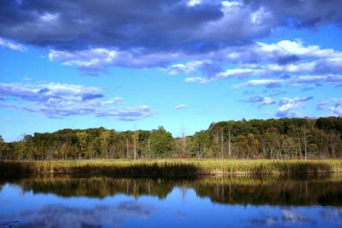 Fishing, Hiking, Lake view