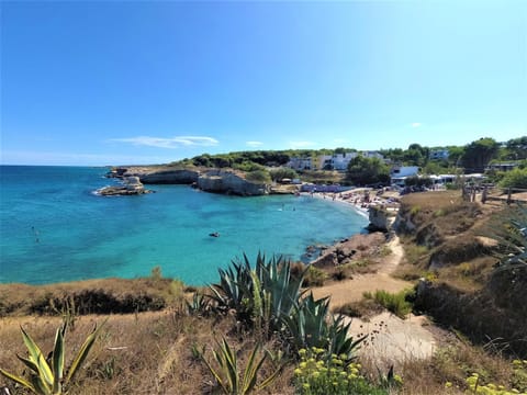 Neighbourhood, Natural landscape, Bird's eye view, Beach, Hiking, Sea view