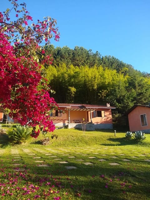 Garden, Garden view, Garden view